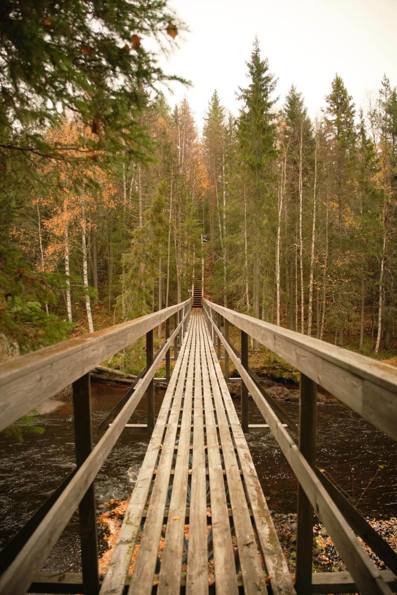 Langforsen Glamping & Lapland Experience Hotel Lapptrask Екстериор снимка