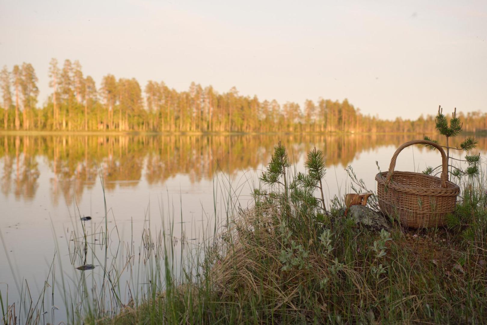 Langforsen Glamping & Lapland Experience Hotel Lapptrask Екстериор снимка